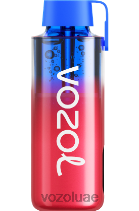 VOZOL NEON- 10000 D8LBT227 VOAOL سعر كيوي فراولة مجمدة