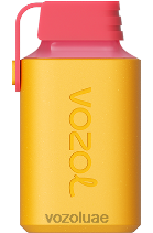 VOZOL GEAR- 600 D8LBT347 VOAOL سعر الكرز والخوخ والليمون