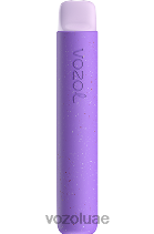 VOZOL STAR- 600 D8LBT77 VOAOL سعر جليد التوت البري الكرز