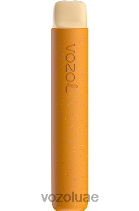 VOZOL STAR- 600 D8LBT82 VOAOL vape UAE مانجو مثلجة