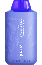 VOZOL STAR- 6000/8000 الإصدار 2 D8LBT52 VOAOL vape UAE حليب فاكهة العاطفة بلاك بيري