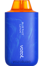 VOZOL STAR- 6000/8000 الإصدار 2 D8LBT55 VOAOL vape price ليمون راز أزرق