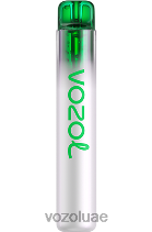 VOZOL NEON- 800 D8LBT248 VOAOL vape flavours جليد العنب