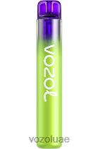 VOZOL NEON- 800 D8LBT260 VOAOL vape for sale ثلج البطيخ