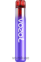 VOZOL NEON- 800 D8LBT269 VOAOL vape review ليمون التوت البري