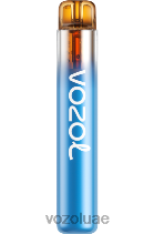 VOZOL NEON- 800 D8LBT270 VOAOL vape for sale عاصفة التوت الغابات