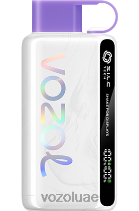 VOZOL STAR- 9000/12000 D8LBT24 VOAOL vape سعر جليد العنب