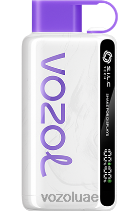 VOZOL STAR- 9000/12000 D8LBT39 VOAOL vape review التوت البري، المانجو، الجريب فروت