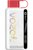 VOZOL STAR- 9000/12000 D8LBT48 VOAOL vape flavours الفراولة، التوت، الكرز