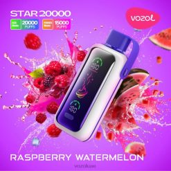 VOZOL STAR 20000 البطيخ التوت D04NJ19 | Vozol Vape Review